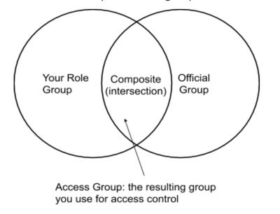 "Composite" is the intersection between venn diagram of "your role group" and "official group"