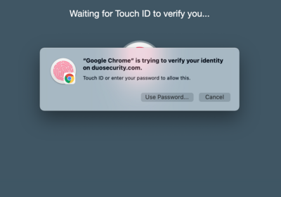 Enter Touch ID and Wait for Verification